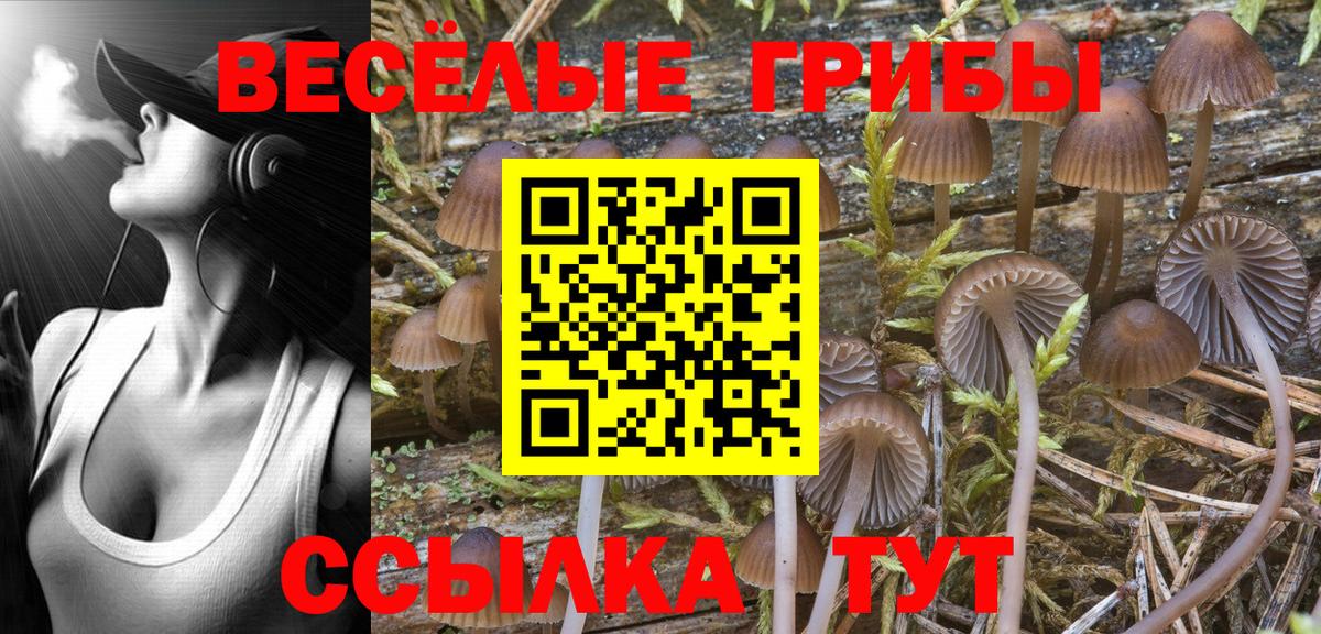 Галлюциногенные грибы Psilocybine cubensis  Вход с VPN  Белорецк 